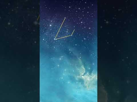 Hydrus