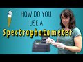 Using a Spectrophotometer: Key Steps and Applications