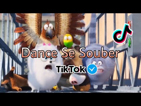 Dance se souber ~{TikTok} 🐦 