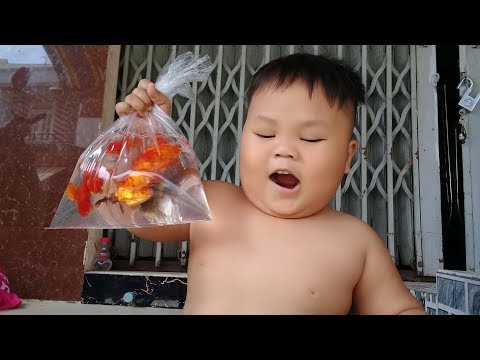 Đồ chơi trẻ em bé pin nuôi cá 3 đuôi ❤ PinPin TV ❤ Baby toys feed fish