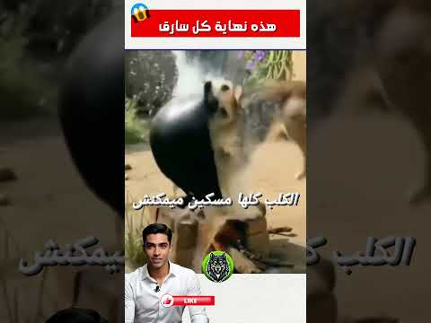 😂🔚 نهاية كل سارق ههه #shorts