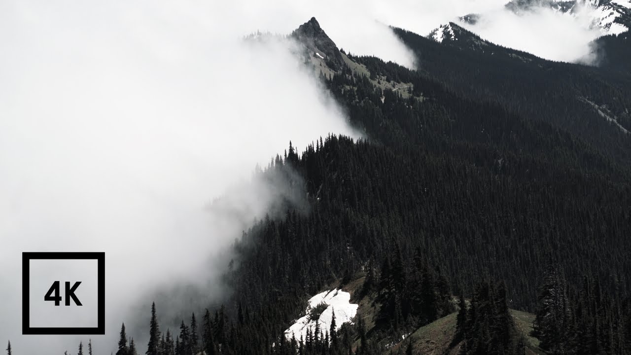 Quiet Mountain Soundscape Ambience at Hurricane Ridge, Washington's Olympic National Park 4k