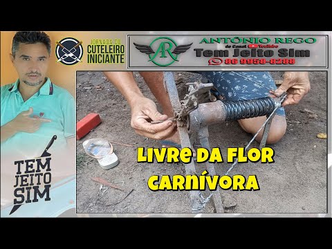 Livre da Flor Carnívora