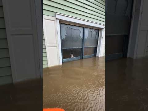 βTrapped in Flood π’ | POV Kitten Rescue ππ±β