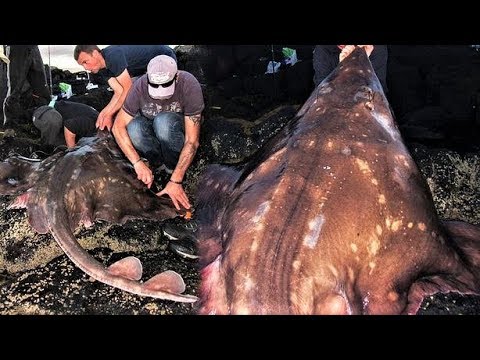 BIGGEST Moments in Fishing History