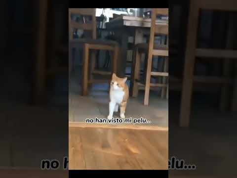 Ahora a que tener más cuidado⚠️🙀