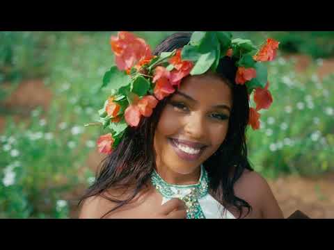 Alvin Smith - NDI OCCUPÉ Ft Fernando Aye ( Official Music Video)