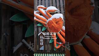 Kinosaki Onsen | 城崎温泉