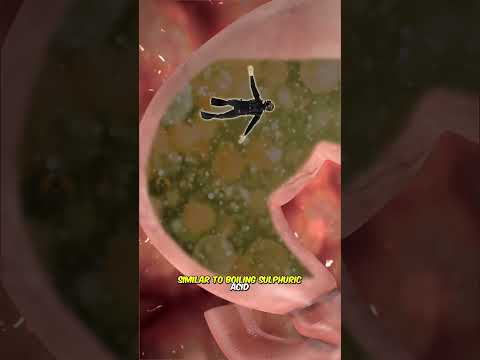 Can you survive if you are swallowed by a whale?