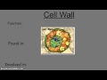 Exploring Cell Organelles and Their Functions