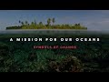 Sustainability and Innovation in Plastic Waste Management