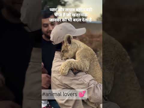 Why Animals Are More Motivational Than Humans