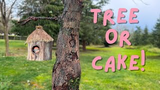 TREE or CAKE?