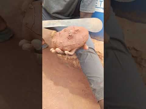 سؤال من متابع / ليه ما تدرس احياء وتكمل هوايتك ؟