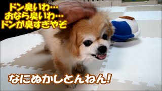 なにぬかしとんねん!どん臭いわ､オナラ臭いわ､ドンが臭すぎってか!