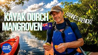 🛶 Das wichtigste Ökosystem der Erde? Im Kajak durch die Mangroven! 🇰🇾