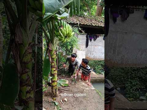 Maling jenius bisa melalui pemiliknya #art #dy#kerajinan #shotrs