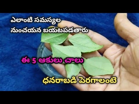 బుధవారం రోజు ఇలా చేస్తే/5 ఆకులలతో/ కర్పూర పరిహారం/సమస్యల నుంచి/ధనరాబడి/అదృష్టం కలిసి రావాలంటే/