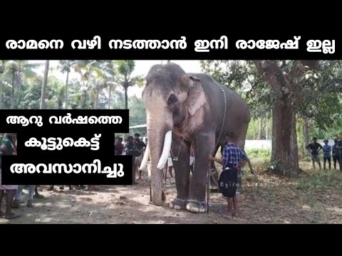 രാമനെ വഴി നടത്താൻ ഇനി രാജേഷ് ഇല്ല | Thechikottukavu Ramachandran