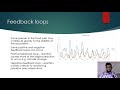Understanding Food Chains, Food Webs, and Feedback Loops