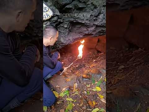 Porque não devemos entrar em cavernas!?😦 #fatoscuriosos #fatosdesconhecidos #curiosidades #vocesabia