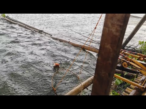 MANCING DI CIRATA SPOT GACOR DI TERJANG BADAI