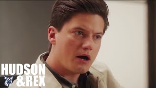Hudson and Rex Season 2024 | Hero by Night | Best American Police And Crime Movies