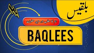 BALQEES name meaning in urdu and English with lucky number | Islamic Baby Girl Name | Ali Bhai