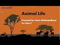 Animal Adaptations and Physiology