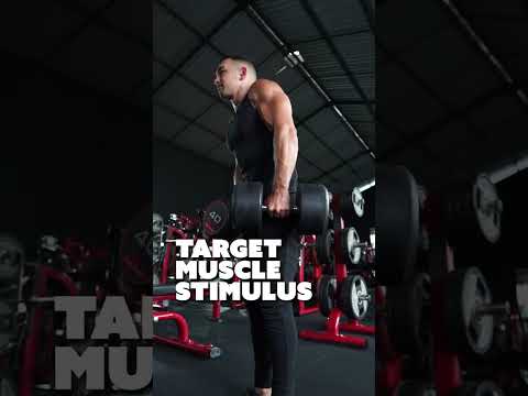 Lifting Straps Are BETA