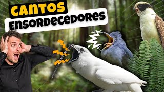 7 Aves con los Cantos Mas POTENTES y ¡RUIDOSOS! sonidos que te dejaran sordo 📣🐦