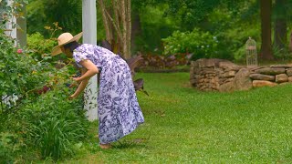 ようこそ5月の美しい庭へ🌿雨とミントの神話と効能/生レモンマシュマロ