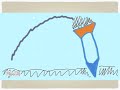Quadratic Functions and Rocket Trajectories