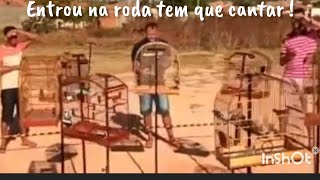 RODA DE COLEIRO E PAPA CAPIM NO MARANHAO ! #coleiro #papacapim #coleirobaiano