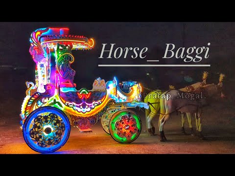 Horse Baggi /घाेडा_बग्गी /Horse Baggi for wedding  Best Horse /Horse Video/Horse riding