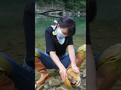 ? Wow?? Giant golden clam ??