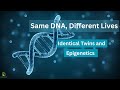 Epigenetics and Its Generational Impact