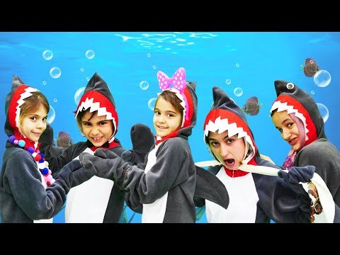 Fındık ailesi. Baby shark klibi. Çocuk şarkıları
