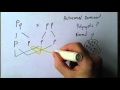 Autosomal Dominant Genetic Disorders