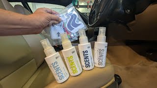 Packing a PUNCH: *New* Gyeon Scents Car Air Freshner Review
