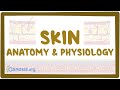 Skin Structure and Function Assessment