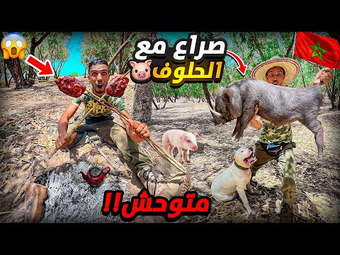 الحياة البرية:صراع مع لحلوف🐗يوم كامل في غابة مرعبة😱العيش الحر 🏕️