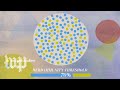 Vaccination and Herd Immunity Concepts