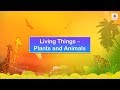 Plant and Animal Biology Concepts