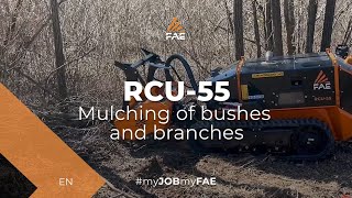 Video - FAE RCU-55 -The new remote controlled tracked carrier equipped with the BL1/RCU forestry mulcher