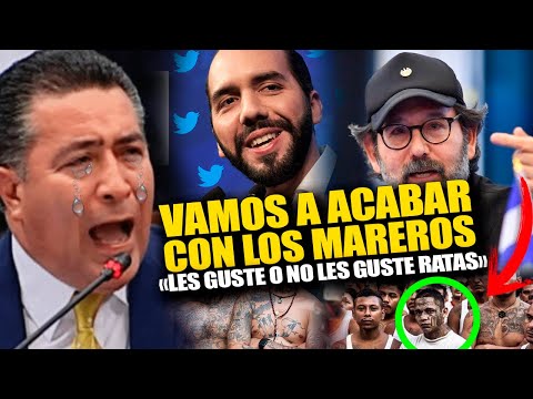 Portillo Cuadra no se esperaba la awebada de su vida tras insultar a Bukele tras defender marer0s!