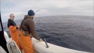 DAYTIME SWORDFISHING MID ATLANTIC 12-11-16
