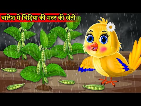 बारिश में चिड़िया की मटर की खेती |Chidiya wala cartoon|कहानी हिन्दी | cartoon video|Hindi new Episode