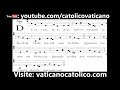 Understanding the Transcript