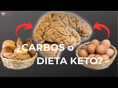 ¿De VERDAD puedes vivir SIN CARBOHIDRATOS? La REVELACIón sobre la cetosis & el ejercicio